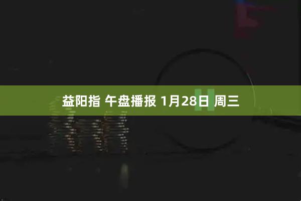 益阳指 午盘播报 1月28日 周三