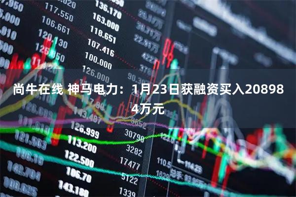 尚牛在线 神马电力：1月23日获融资买入208984万元